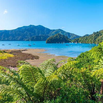 Neuseeland - Wie der Milchexport das Naturparadies bedroht