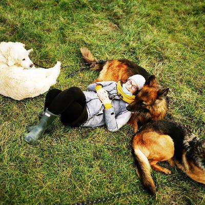 Episod 1: Interacțiunea OM - ANIMAL