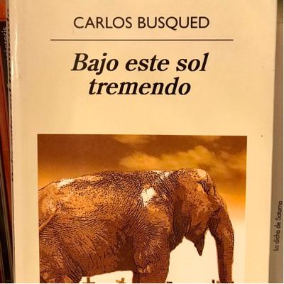 Bajo este sol tremendo - Carlos Busqued Bajo este sol tremendo - Carlos Busqued