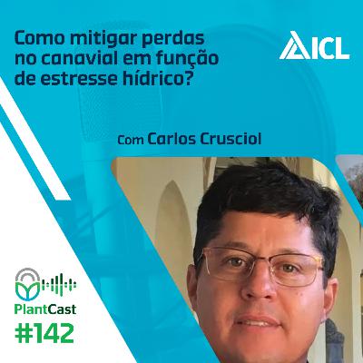 Plantcast #142 Como mitigar perdas no canavial em função de estresse hídrico?