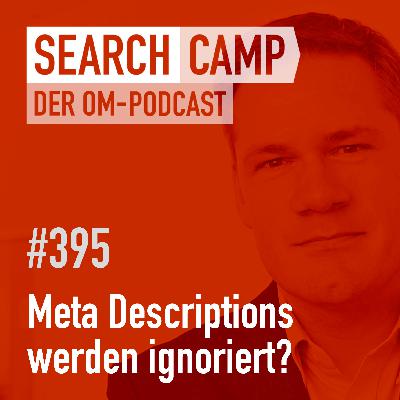 Meta Description wird nicht übernommen. Warum? [Search Camp 395]
