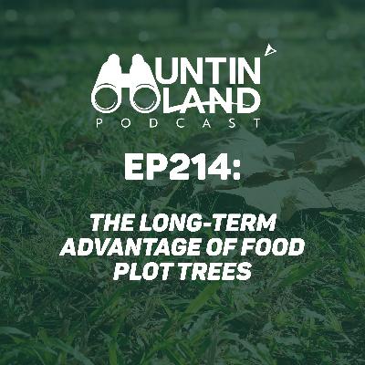 The Long-Term Advantage of Food Plot Trees The Long-Term Advantage of Food Plot Trees
