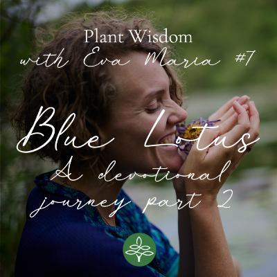 #7 Blue Lotus, a 6. months journey part 2