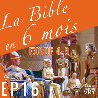 LA BIBLE EN 6 MOIS épisode 16 : Exode 4-9 LA BIBLE EN 6 MOIS épisode 16 : Exode 4-9