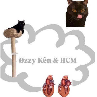 Øzzy Kên & HCM Øzzy Kên & HCM