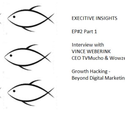 #2 Executive Insights Part 1