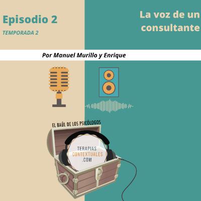 La voz de un consultante La voz de un consultante