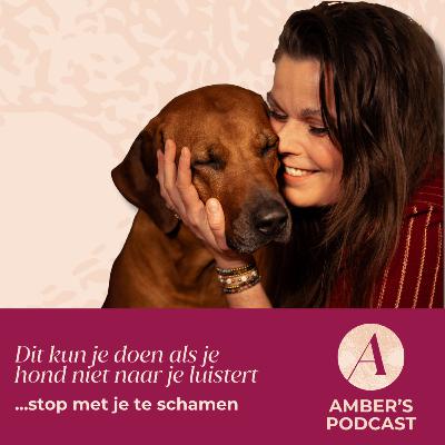 Dit kun je doen als je hond niet naar je luistert. Stop met je te schamen #45 Dit kun je doen als je hond niet naar je luistert. Stop met je te schamen #45