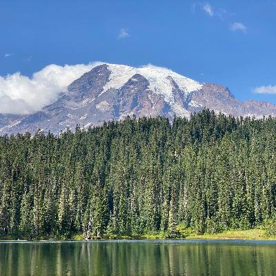 #25 近況報告|新しいお役目 #25 近況報告|新しいお役目