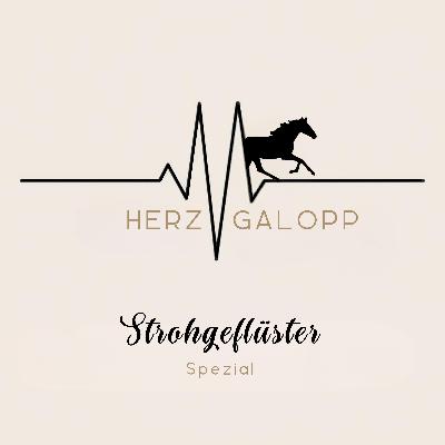 „Herzgalopp“ SPEZIAL: Von Pferde(alb)träumen, Social Media & Neuanfängen