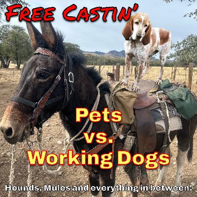 Pets VS. Working Dogs Pets VS. Working Dogs