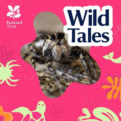 Sex, Death and Spiders Sex, Death and Spiders