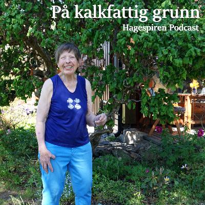 19/25: På kalkfattig grunn med Grethe Li