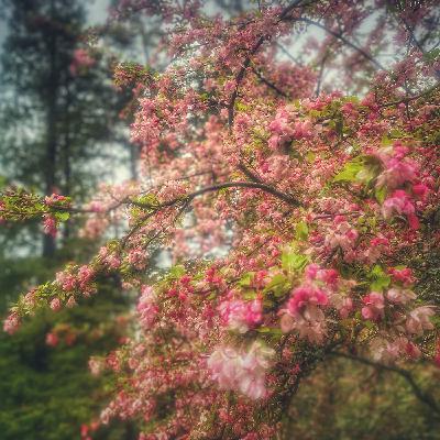 Another demo, "I'm Falling Down," from my next album