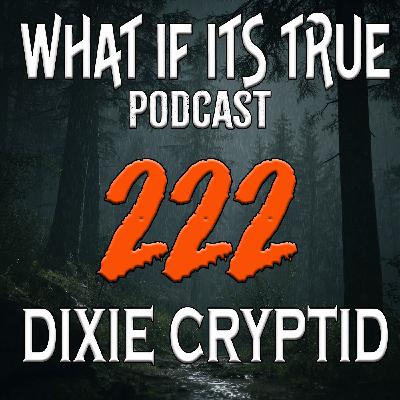 Archive 222 Bigfoot Archive 222 Bigfoot