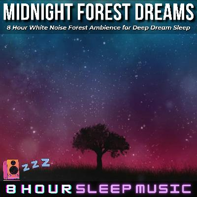 🌲 Midnight Forest Dreams | 8 Hour White Noise Forest Ambience with Peaceful Music for Deep Dream Sleep 😴