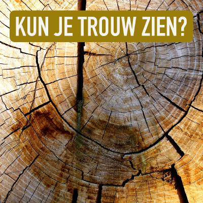 Aflevering 14 - Kun je trouw zien?