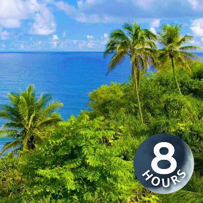 Rehat yang Sebenar! Bunyi Laut di Hawaii (8jam)