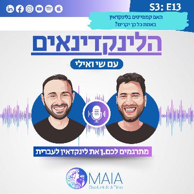 האם קמפיינים בלינקדאין באמת כל כך יקרים?