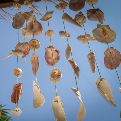 Los Sonidos de la Playa | 8 Horas de Olas y Campanillas de Viento
