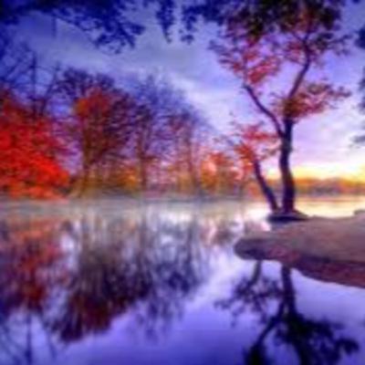 Emociones y su repercusión