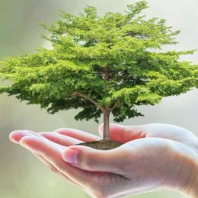 Reflexion: "crea y transforma"