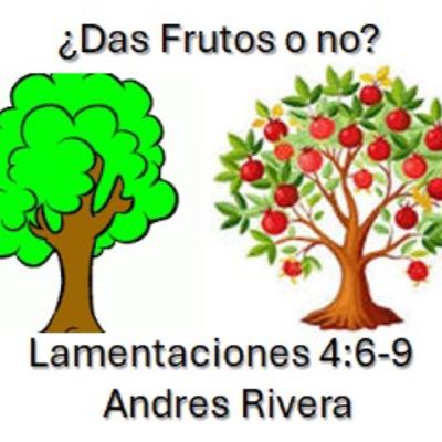 ¿Das frutos o no?