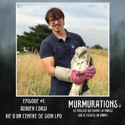 #1 Adrien Corsi, vie d'un centre de soin - MURMURATIONS