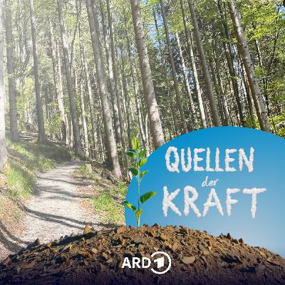 Quellen der Kraft - Die Seele auftanken in der Natur