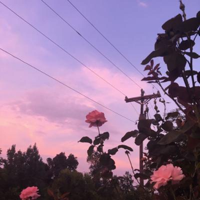 Colors