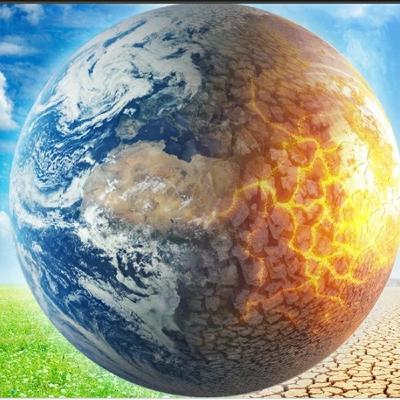 Le climat et les animaux