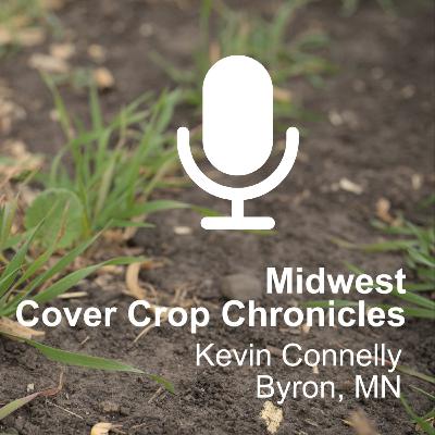 Midwest Cover Crop Chronicles- Byron Minnesota