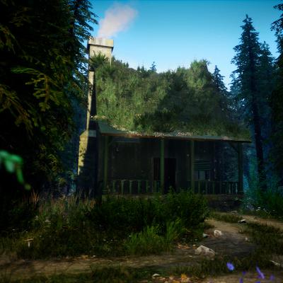 Cabin In The Forest