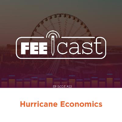 Hurricane Economics