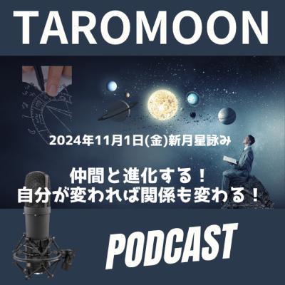 【11/1(金)新月の星詠みお届けです！】
