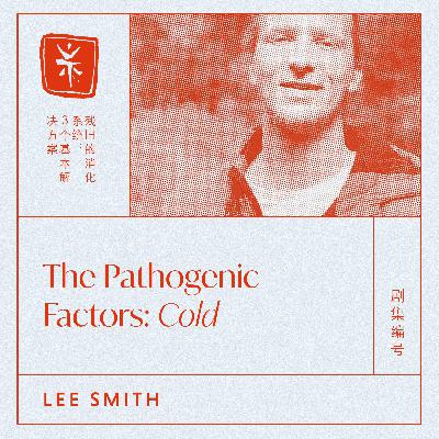05: The Pathogenic Factors: Cold, with TCM Dr. Lee Smith