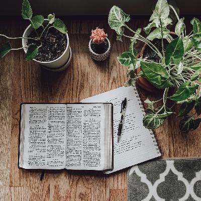 Hvordan gjøre det beste ut av resten av livet mitt? Hvordan gjøre det beste ut av resten av livet mitt?