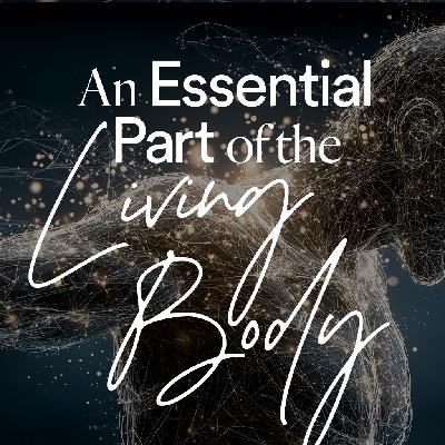 An Essential Part of the Living Body - Ps. Morgan Ervin
