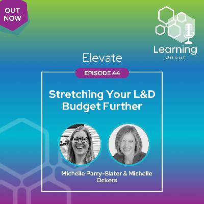 Elevate 44: Stretching Your L&D Budget Further