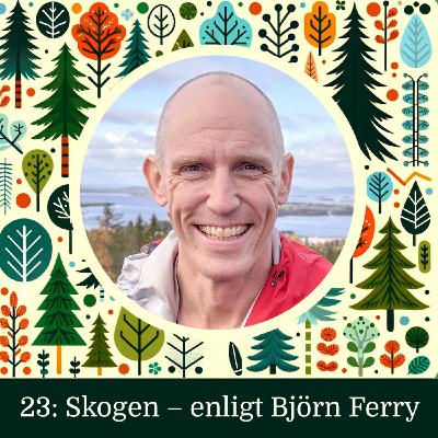 Skogen – Enligt Björn Ferry