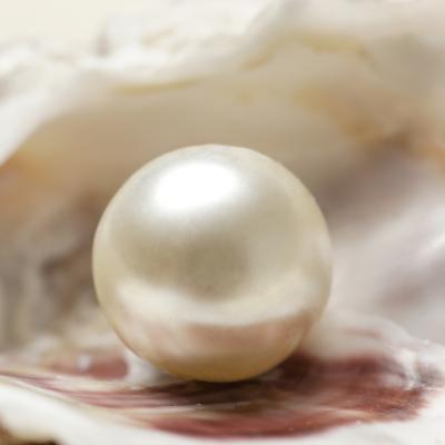 Pearl of great price!