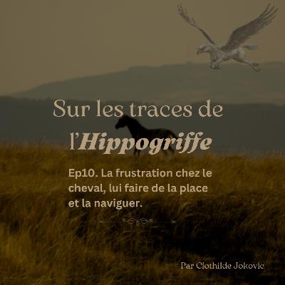Episode 10. La frustration chez le cheval, lui faire de la place et la naviguer