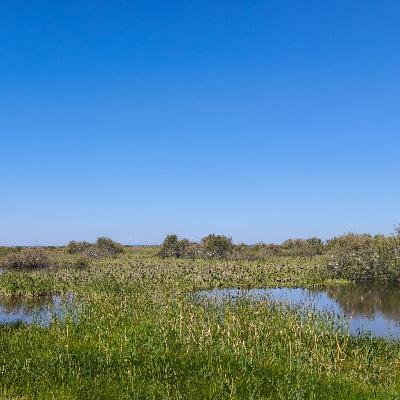La Leyenda del Nombre de Doñana La Leyenda del Nombre de Doñana
