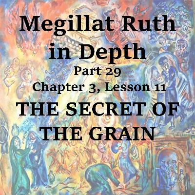 THE SECRET OF THE GRAIN THE SECRET OF THE GRAIN