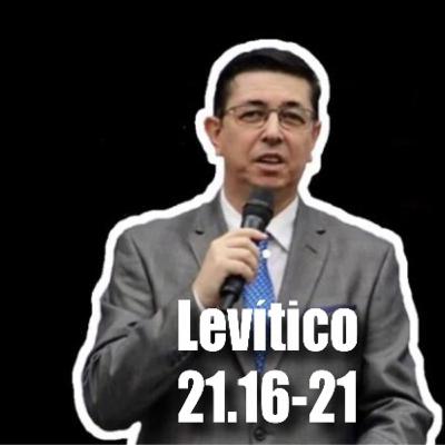 Somos todos sacerdotes