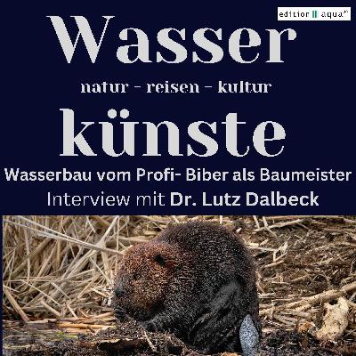 Wasserbauprofi und Anarchist - Der Biber