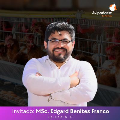 #71 - Manejo del pre-pico en ponedoras: Estrategias clave para el éxito productivo - MSc. Edgard Benites Franco #71 - Manejo del pre-pico en ponedoras: Estrategias clave para el éxito productivo - MSc. Edgard Benites Franco