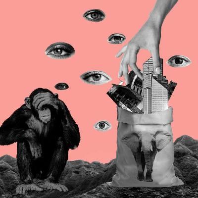 ¿Colombia nació corrupta? - Twitter Space (16 dic. 2021) ¿Colombia nació corrupta? - Twitter Space (16 dic. 2021)