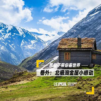 北极系列5——番外篇1：淘金屋的小感动