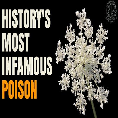 The Beautiful Assassin: Hemlock’s Toxic Tale